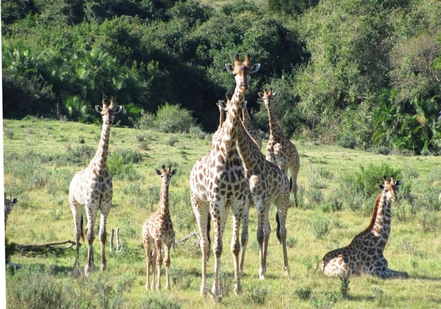 Commercial Property for Sale in Port Alfred Rural Eastern Cape